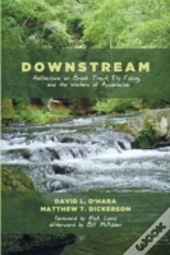Downstream