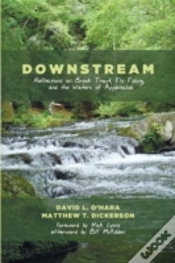 Capa do artigo Downstream