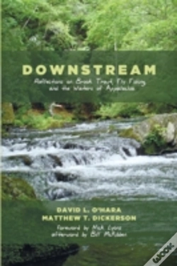 Capa do artigo Downstream