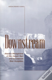 Capa do artigo Downstream