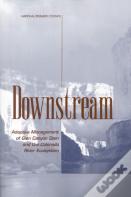 Downstream