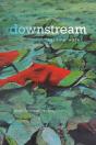 Downstream - Preview