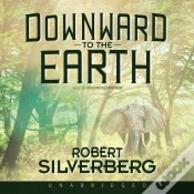 Capa do artigo Downward To The Earth
