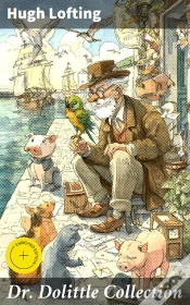 Capa do artigo Dr. Dolittle Collection