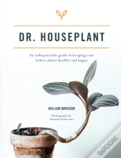 Capa do artigo Dr. Houseplant