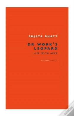 Capa do artigo Dr Work'S Leopard