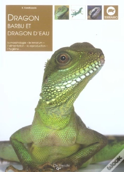 Capa do artigo Dragon Barbu Et Dragon D'Eau
