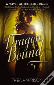 Capa do artigo Dragon Bound