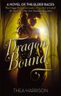 Dragon Bound - Preview