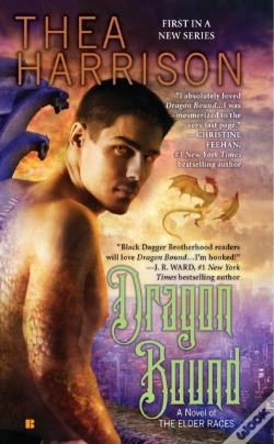 Capa do artigo Dragon Bound