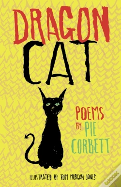 Capa do artigo Dragon Cat