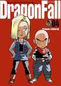 Dragon Fall 4 - Preview