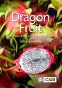 Dragon Fruit - Preview