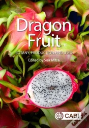 Capa do artigo Dragon Fruit