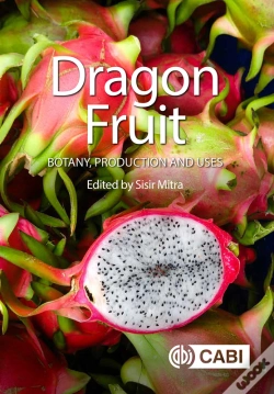 Capa do artigo Dragon Fruit