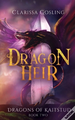 Capa do artigo Dragon Heir