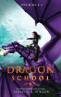 Dragon School - Preview