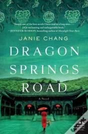 Capa do artigo Dragon Springs Road
