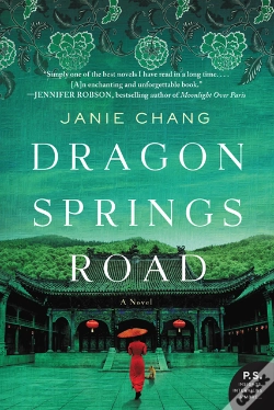 Capa do artigo Dragon Springs Road