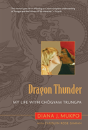 Dragon Thunder - Preview