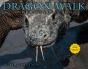 Dragon Walk - Preview