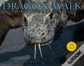 Capa do artigo Dragon Walk
