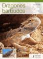Dragones Barbudos - Preview