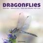 Dragonflies - Preview