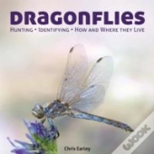 Dragonflies