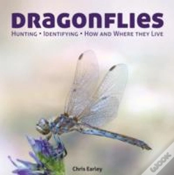 Capa do artigo Dragonflies