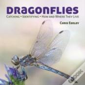 Dragonflies