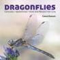 Dragonflies - Preview