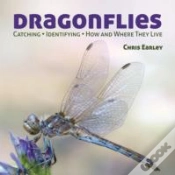 Capa do artigo Dragonflies