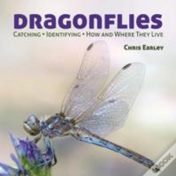Capa do artigo Dragonflies