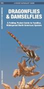 Dragonflies & Damselflies - Preview