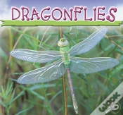 Capa do artigo Dragonflies