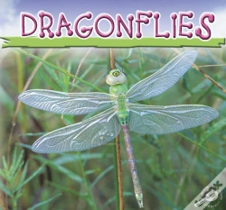 Capa do artigo Dragonflies
