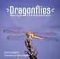 Dragonflies - Preview