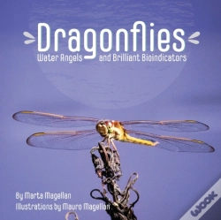 Capa do artigo Dragonflies