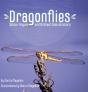 Dragonflies - Preview