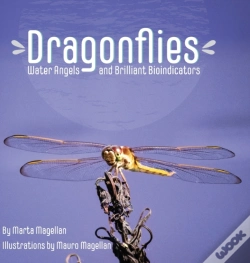 Capa do artigo Dragonflies