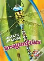 Dragonflies
