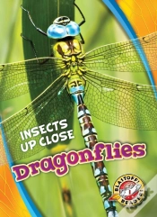Capa do artigo Dragonflies