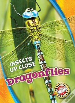 Capa do artigo Dragonflies
