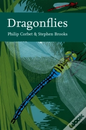 Capa do artigo Dragonflies