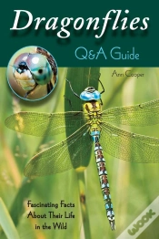 Capa do artigo Dragonflies: Q&A Guide