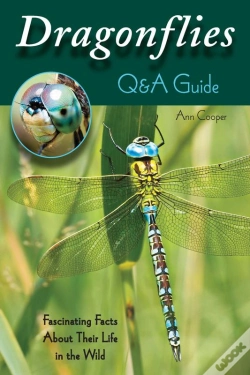 Capa do artigo Dragonflies: Q&A Guide
