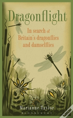 Capa do artigo Dragonflight