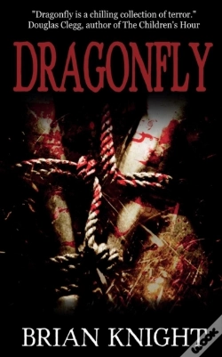 Capa do artigo Dragonfly