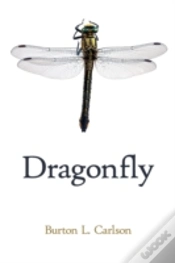 Capa do artigo Dragonfly